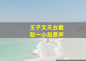 王子文天台截取一小段原声