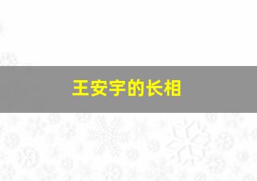 王安宇的长相