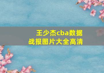 王少杰cba数据战报图片大全高清