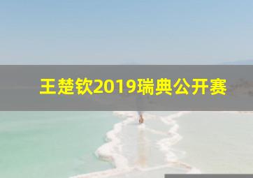 王楚钦2019瑞典公开赛