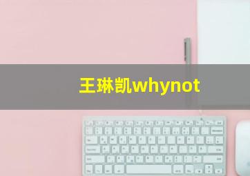 王琳凯whynot