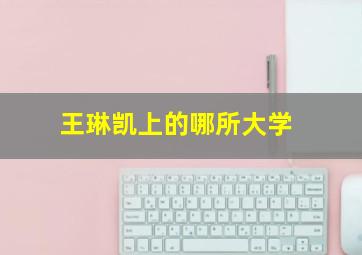 王琳凯上的哪所大学