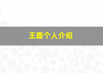 王磊个人介绍