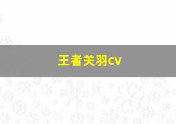 王者关羽cv