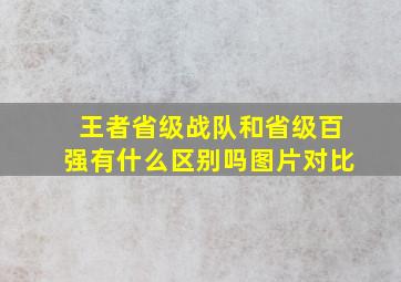 王者省级战队和省级百强有什么区别吗图片对比