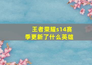 王者荣耀s14赛季更新了什么英雄