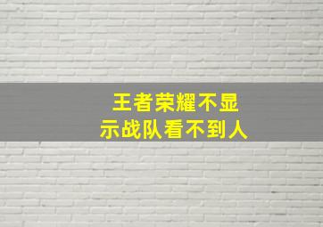 王者荣耀不显示战队看不到人