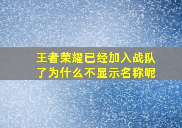 王者荣耀已经加入战队了为什么不显示名称呢