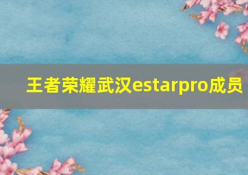 王者荣耀武汉estarpro成员