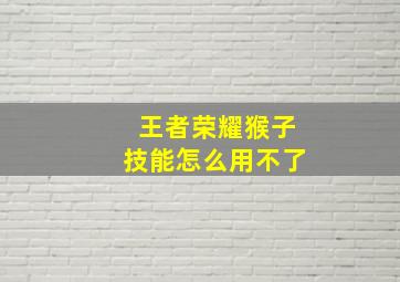 王者荣耀猴子技能怎么用不了