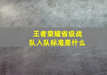 王者荣耀省级战队入队标准是什么