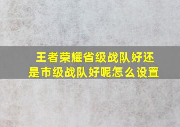 王者荣耀省级战队好还是市级战队好呢怎么设置