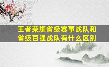 王者荣耀省级赛事战队和省级百强战队有什么区别