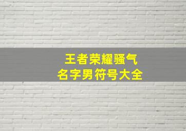 王者荣耀骚气名字男符号大全