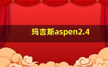 玛吉斯aspen2.4