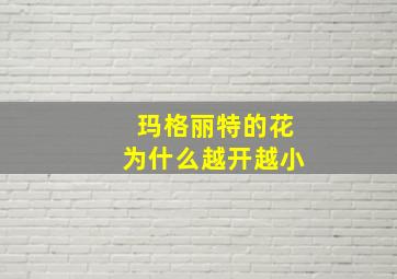 玛格丽特的花为什么越开越小