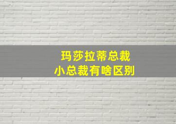 玛莎拉蒂总裁小总裁有啥区别