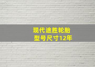 现代途胜轮胎型号尺寸12年