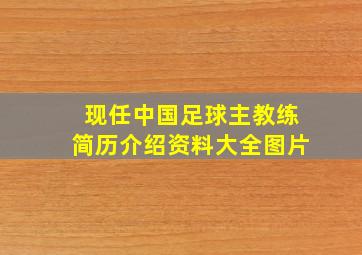 现任中国足球主教练简历介绍资料大全图片