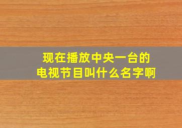 现在播放中央一台的电视节目叫什么名字啊