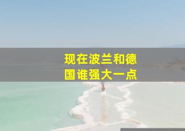 现在波兰和德国谁强大一点