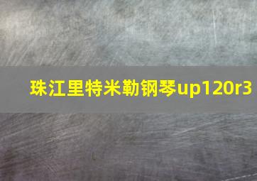 珠江里特米勒钢琴up120r3