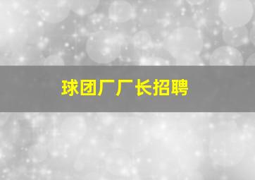 球团厂厂长招聘