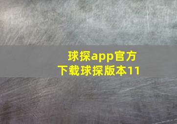 球探app官方下载球探版本11