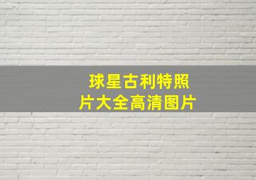 球星古利特照片大全高清图片