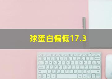 球蛋白偏低17.3