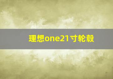 理想one21寸轮毂