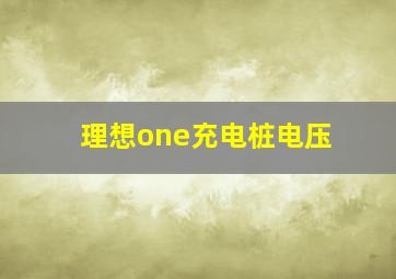 理想one充电桩电压