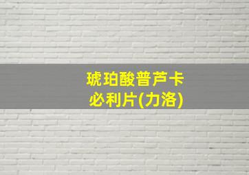 琥珀酸普芦卡必利片(力洛)