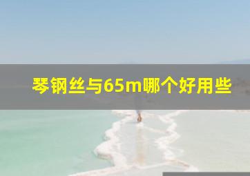 琴钢丝与65m哪个好用些