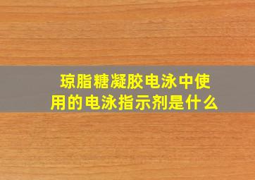 琼脂糖凝胶电泳中使用的电泳指示剂是什么