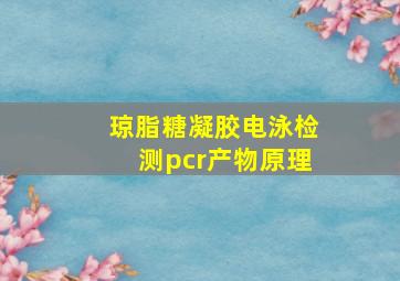 琼脂糖凝胶电泳检测pcr产物原理