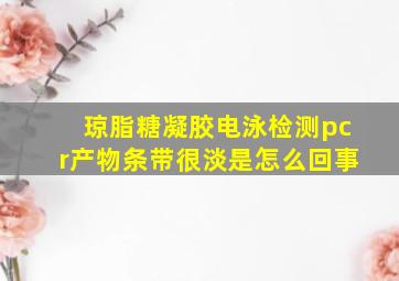 琼脂糖凝胶电泳检测pcr产物条带很淡是怎么回事