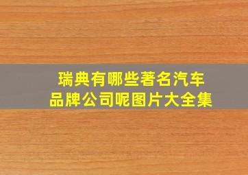 瑞典有哪些著名汽车品牌公司呢图片大全集