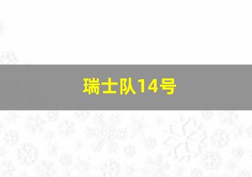 瑞士队14号