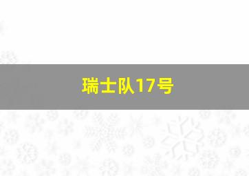 瑞士队17号