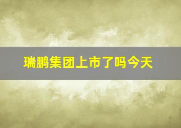 瑞鹏集团上市了吗今天