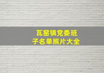 瓦窑镇党委班子名单照片大全