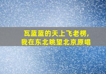 瓦蓝蓝的天上飞老楞,我在东北眺望北京原唱