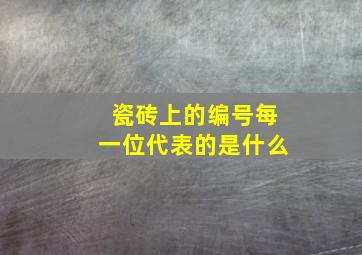 瓷砖上的编号每一位代表的是什么