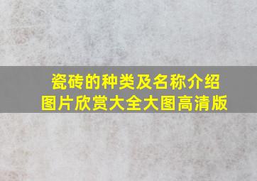 瓷砖的种类及名称介绍图片欣赏大全大图高清版