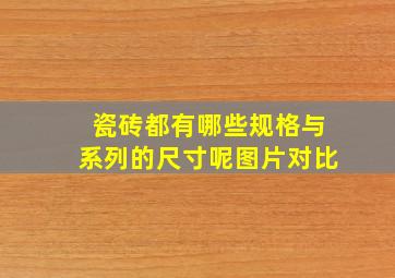 瓷砖都有哪些规格与系列的尺寸呢图片对比