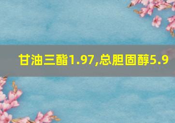 甘油三酯1.97,总胆固醇5.9