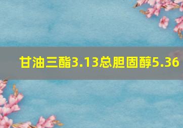 甘油三酯3.13总胆固醇5.36