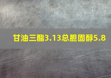 甘油三酯3.13总胆固醇5.8