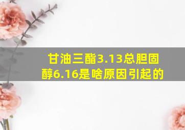 甘油三酯3.13总胆固醇6.16是啥原因引起的